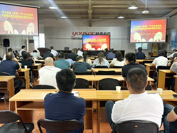 以案為鑒 警鐘長(zhǎng)鳴｜公司紀(jì)委組織開展黨紀(jì)學(xué)習(xí)教育警示教育會(huì)