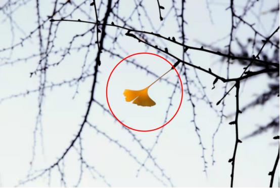 1664414267182203.jpg 2a6a85ecfa71b9072b9dba5ab175f51.jpg